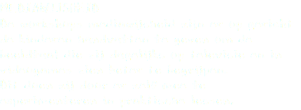 MEDIAWIJSHEID De workshops mediawijsheid zijn er op gericht de kinderen handvatten te geven om de beeldtaal die zij dagelijks op televisie en in videogames zien beter te begrijpen. Dit doen zij door er zelf mee te experimenteren in praktische lessen.