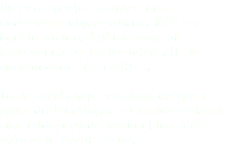 Op een speelse manier een onderwerp eigen maken. Nét een beetje anders kijken naar of inzoomeen op onderdelen uit de geschiedenis of taalles. In de workshops rondom erfgoed gaan de leerlingen al onderzoekend een tijdsperiode verbeelden met animatie en/of film. 