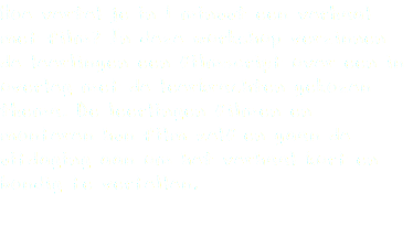 Hoe vertel je in 1 minuut een verhaal met film? In deze workshop verzinnen de leerlingen een filmscript over een in overleg met de leerkrachten gekozen thema. De leerlingen filmen en monteren hun film zelf en gaan de uitdaging aan om het verhaal kort en bondig te vertellen. 