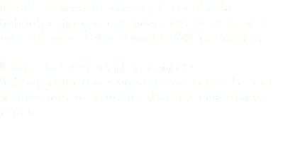 Naast onderwijs verzorgt Toonbeeld Schoolprojecten ook educatie voor andere instellingen. Bijvoorbeeld BSO en musea. Daarnaast verzorgt Toonbeeld Schoolprojecten educatief materiaal, zoals lesbrieven, instructiefilms en educatieve films. 