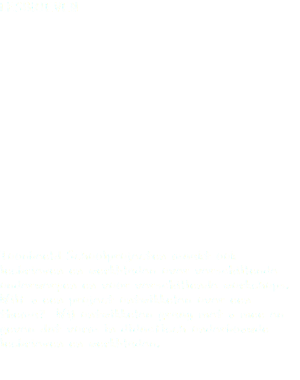 LESBRIEVEN Toonbeeld Schoolprojecten maakt ook lesbrieven en werkbladen over verschillende onderwerpen en voor verschillende workshops. Wilt u een project ontwikkelen over een thema? Wij ontwikkelen graag met u mee en geven dat vorm in didactisch onderbouwde lesbrieven en werkbladen. 